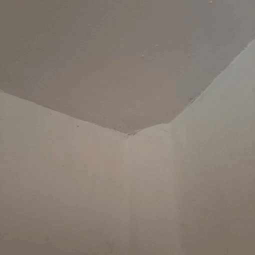 20200904_103318.gif