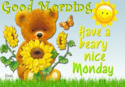 294645-Good-Morning-Have-A-Beary-Nice-Monday.jpg