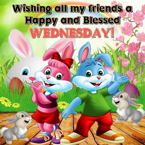 327257 Wishing All My Friends A Happy And Blessed Wednesday (1)