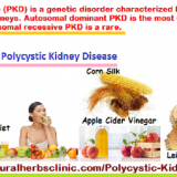 5-Natural-Remedies-for-Polycystic-Kidney-Disease1