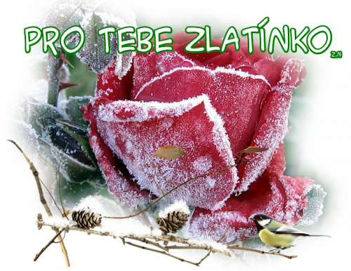 654ztre