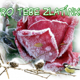 654ztre