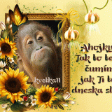 Ahojky