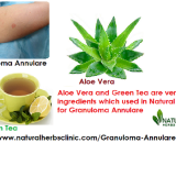 Aloe-vera-and-green-tea