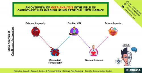 An-overview-of-meta-analysis-in-the-field-of-cardiovascular-imaging-using-artificial-intelligence---Pubrica.jpg