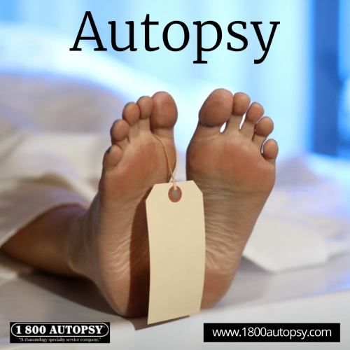 Autopsy_03.png