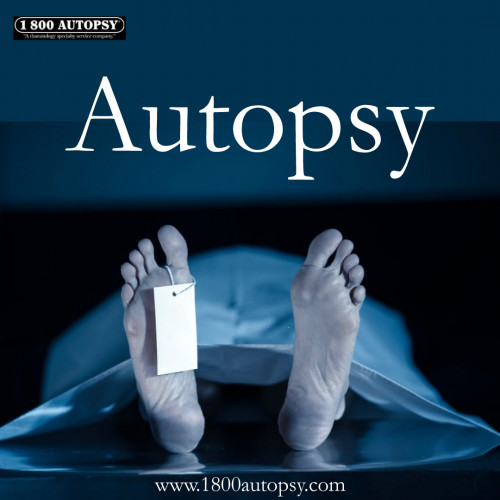 Autopsy_04.jpg