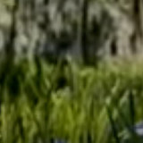 Banner69efee133e972e22