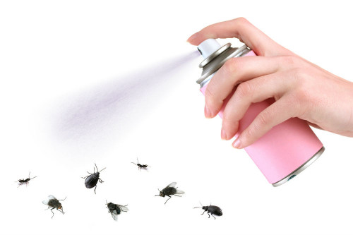 Best Bug Killer Spray Review