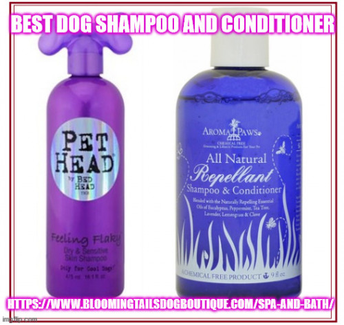 Best-Dog-Shampoo-and-Conditioner.jpg