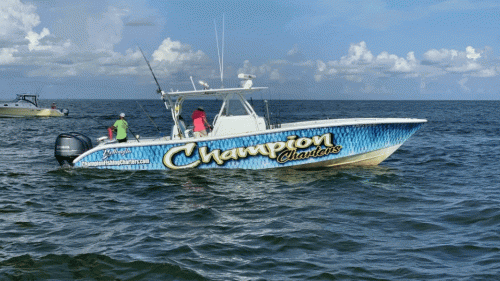 Champion Fishing Charters, the best Venice Louisiana fishing Charter Company has specialties in deep sea tuna fishing trips. We strive to provide you the expertise of catching fish and the best planned fishing trips so that you make the most of your wonderful outing within your budget. Visit,https://bit.ly/32fH7AF