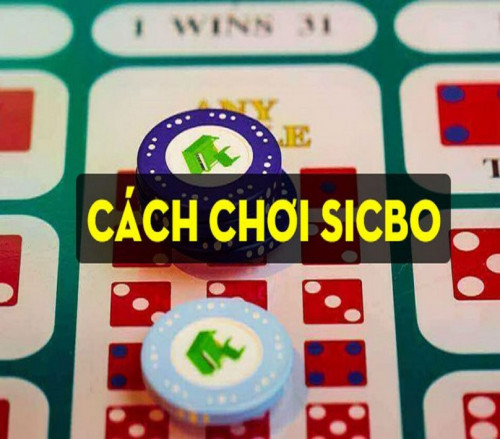Sự đơn giản trong cách chơi sicbo là điều giúp cho trò chơi này không chỉ hấp dẫn đối với người chơi lâu năm mà còn thu hút rất nhiều người chơi mới. Không phải lẽ dĩ nhiên mà sicbo luôn là game cược có số lượng người chơi tham gia đông hàng top tại các nhà cái online cũng như sòng bài thực tế.
Nguồn bài viết: http://d9bet.site/cach-choi-sicbo/
#D9Bet #nha_cai_D9Bet #nha_cai #casino #cachchoisicbo