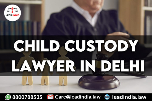 Child-Custody-Lawyer-In-Delhi634b93694fdc09b3.jpg