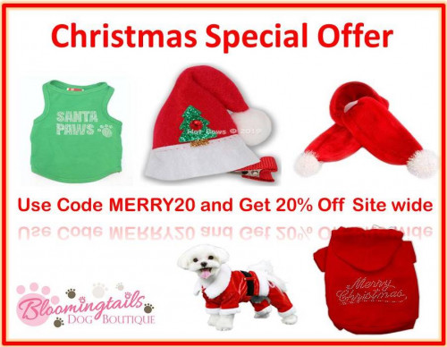 December is the month of celebration. To celebrate this Christmas we, Bloomingtails Dog Boutique come with an exciting offer. Buy any dog product, accessories and, dog grooming products for your lovely friend from our online store, use coupon code MERRY20 and get 20% off site wide. To more offer and new products visit: https://www.bloomingtailsdogboutique.com/.
