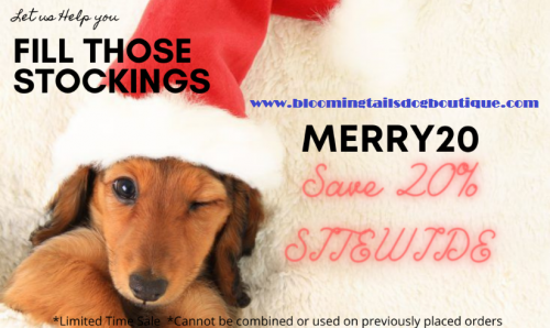 Christmas-Spaecial-Offers-by-Bloomingtails-Dog-Boutique.png