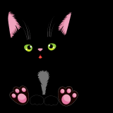 Cute-Black-Cat_01