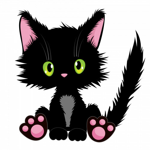 Cute Black Cat 02