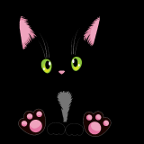 Cute-Black-Cat_02