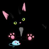 Cute-Black-Cat_04