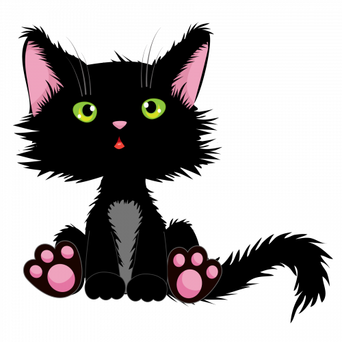 Cute Black Cat 12