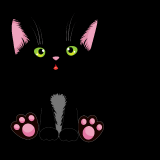 Cute-Black-Cat_12