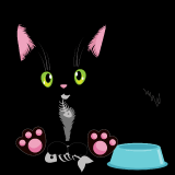 Cute-Black-Cat_14