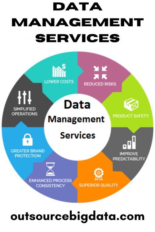We offer comprehensive data processing and data management services for companies located around the world. By hiring Outsource Big Data you gain access to our team of highly skilled individuals. For more details visit https://outsourcebigdata.com/data-automation/data-management-services