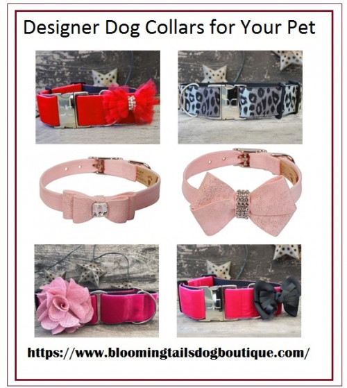 Designer-Dog-Collars-for-Your-Pet.jpg