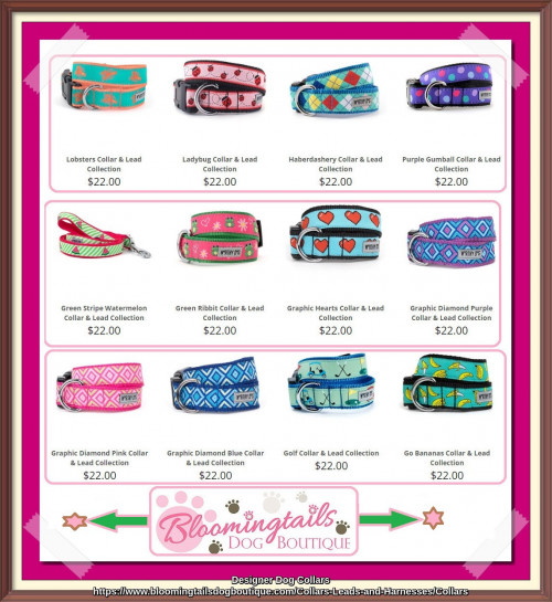 Buy designer dog collars from Bloomingtails Dog Boutique a premier online dog boutique deals with dog accessories& apparels. To know more details, visit our website, https://bit.ly/3Oa8UaO