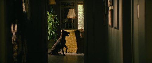 Dog.2022.PL.720p.BDRiP.x264-PSiG.mkv00002.jpg