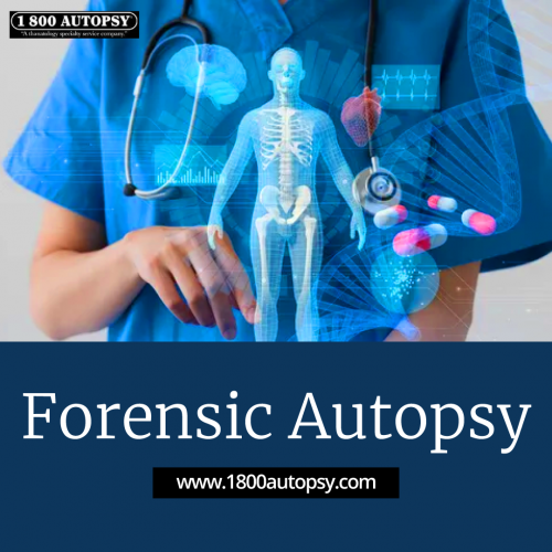 Forensic-Autopsy_03.png