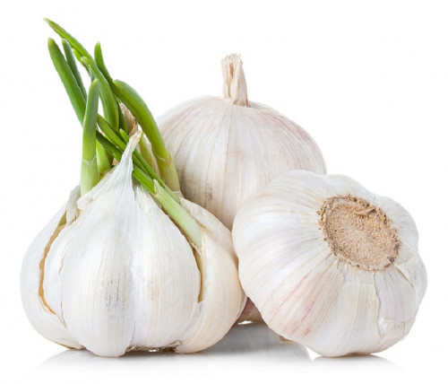 Garlic used in a lot of different kinds of disease treatment, Garlic is an herb that has particular anti-coagulant properties and used as Natural Remedies for Polycythemia Vera and another lot of diseases. https://amos.ukf.sk/blog/index.php?entryid=17828