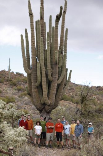 Giant-Saguaro-Cactus-in-Arizona-Sonoran-Desert-e1542735881794.jpg