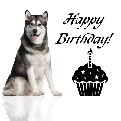 Husky saying Happy Birthday
