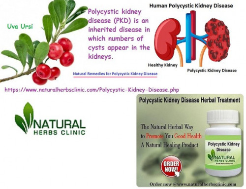 Uva Ursi is a general herbal ingredient used in Natural Remedies for Polycystic Kidney Disease. It will also assist to stop the infection in the kidneys, but it can also help out to decrease the uneasiness and also wash the urinary area... http://naturalherbsclinic.website2.me/naturalremedies/natural-remedies-for-polycystic-kidney-disease