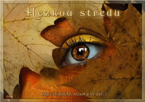 Hezkou-stredua2fde16b6aadd023.gif