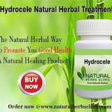 Hydrocele-Herbal-Treatments