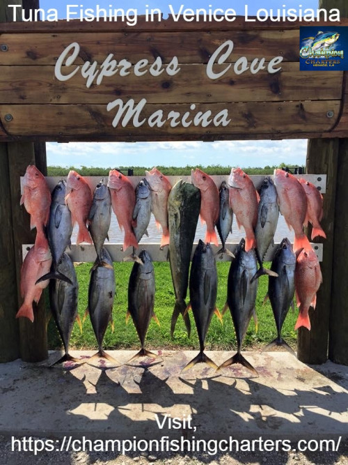 Champion Fishing Charters, the best Venice Louisiana fishing Charter Company has specialties in deep sea tuna fishing trips. We strive to provide you the expertise of catching fish and the best planned fishing trips so that you make the most of your wonderful outing within your budget.Visit,https://bit.ly/3bjJM19