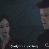 Junkyard-inspection