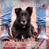 Krasne-pondelif5773b8ebcaec6cd