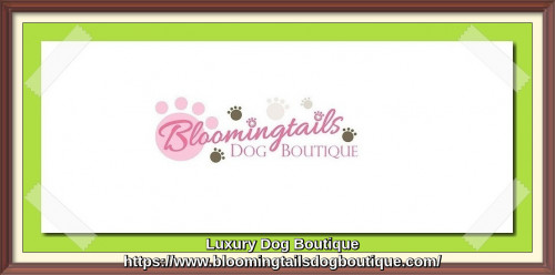 Wide range of fashion at our Luxury Dog Boutique consists designer dog clothes, collars, carriers, toys, dog beds and all type of unique apparel are available. To know more details, visit our website,shorturl.at/aCFGM