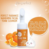 Mandarin-Perfect-Radiance-Foam-Cleanser-2pg