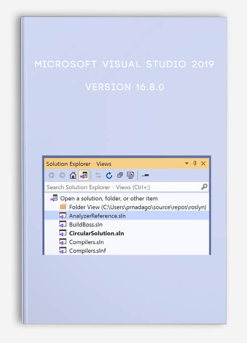 Microsoft Visual Studio 19 Version 16 8 0