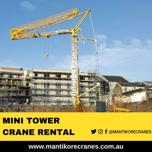 Mini-Tower-Crane-Rental-1.jpg