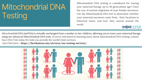 Mitochondrial-DNA-testing.png