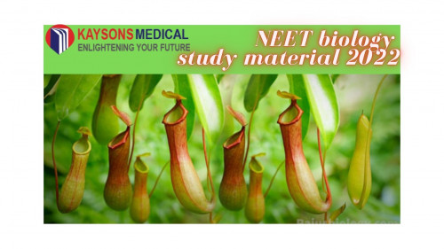 NEET-biology-study-material-2022.jpg