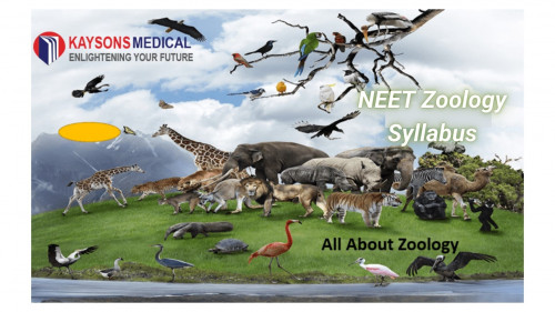 NEET zoology syllabus