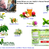 Natural-Remedies-are-Cooperative-in-Lessen-the-Symptoms-of-Motor-Neuron-Disease