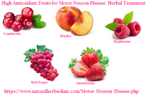 Many fruits are high in antioxidants, packed with vitamins, and beneficial in Natural Remedies for Motor Neuron Diseases. These contain peaches, cranberries, red grapes... http://naturalherbsclinic.mystrikingly.com/blog/natural-remedies-for-motor-neuron-disease