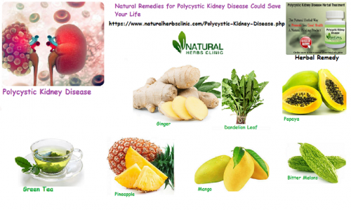 Natural Remedies for Polycystic Kidney Disease drinks herbal teas for instance dandelion leaf and green tea as they support the purpose of the kidneys filtration and are also gentle diuretics... http://myfishbook.fr/natural-remedies-for-polycystic-kidney-disease-could-save-your-life/